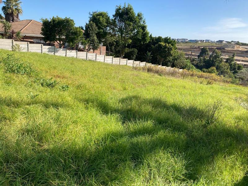 0 Bedroom Property for Sale in Rooi Rivier Rif Western Cape